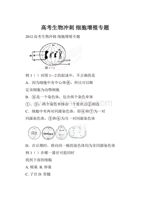 高考生物冲刺细胞增殖专题Word文档格式.docx