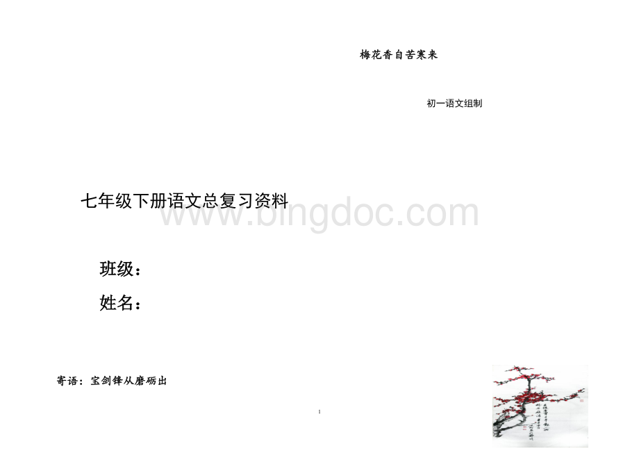 人教版七年级下册语文总复习资料(大全)Word下载.docx