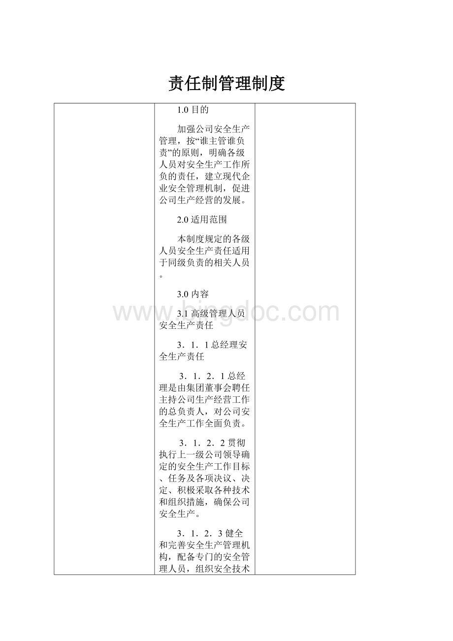 责任制管理制度.docx_第1页