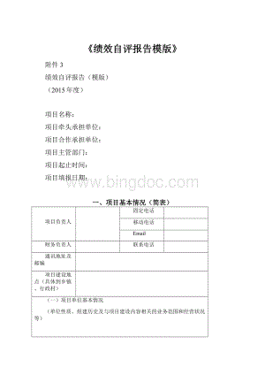 《绩效自评报告模版》Word下载.docx