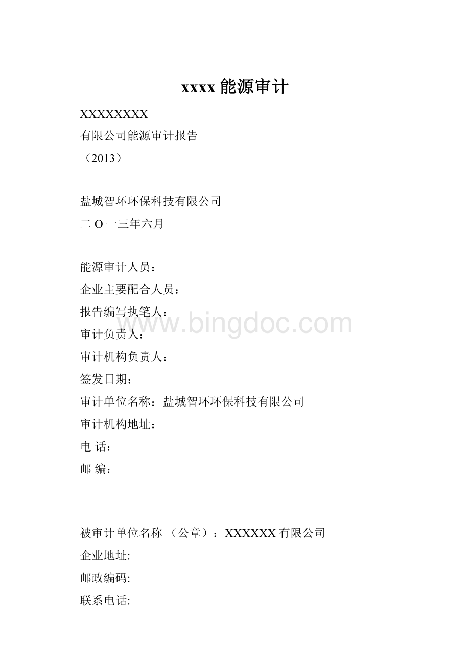 xxxx能源审计文档格式.docx