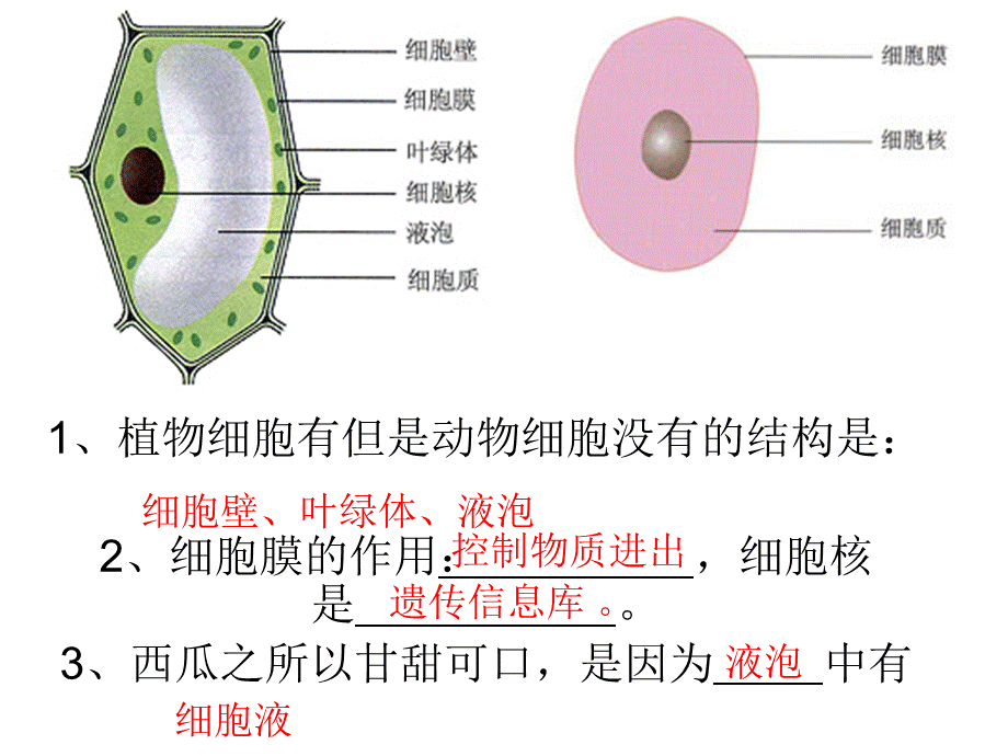 初中生物课本图片[1].ppt