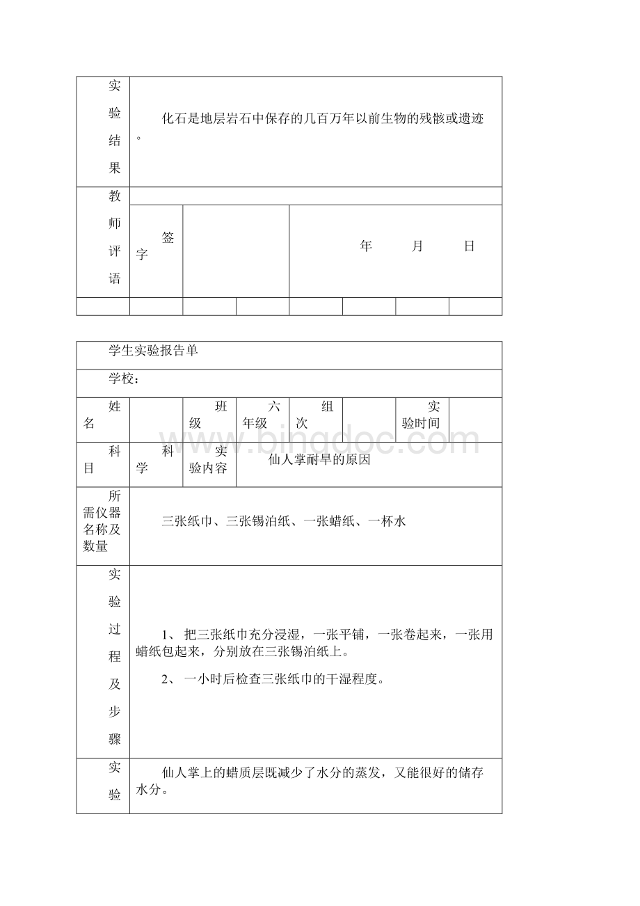 苏教版小学六年级下册科学实验报告记录单Word格式.docx_第2页