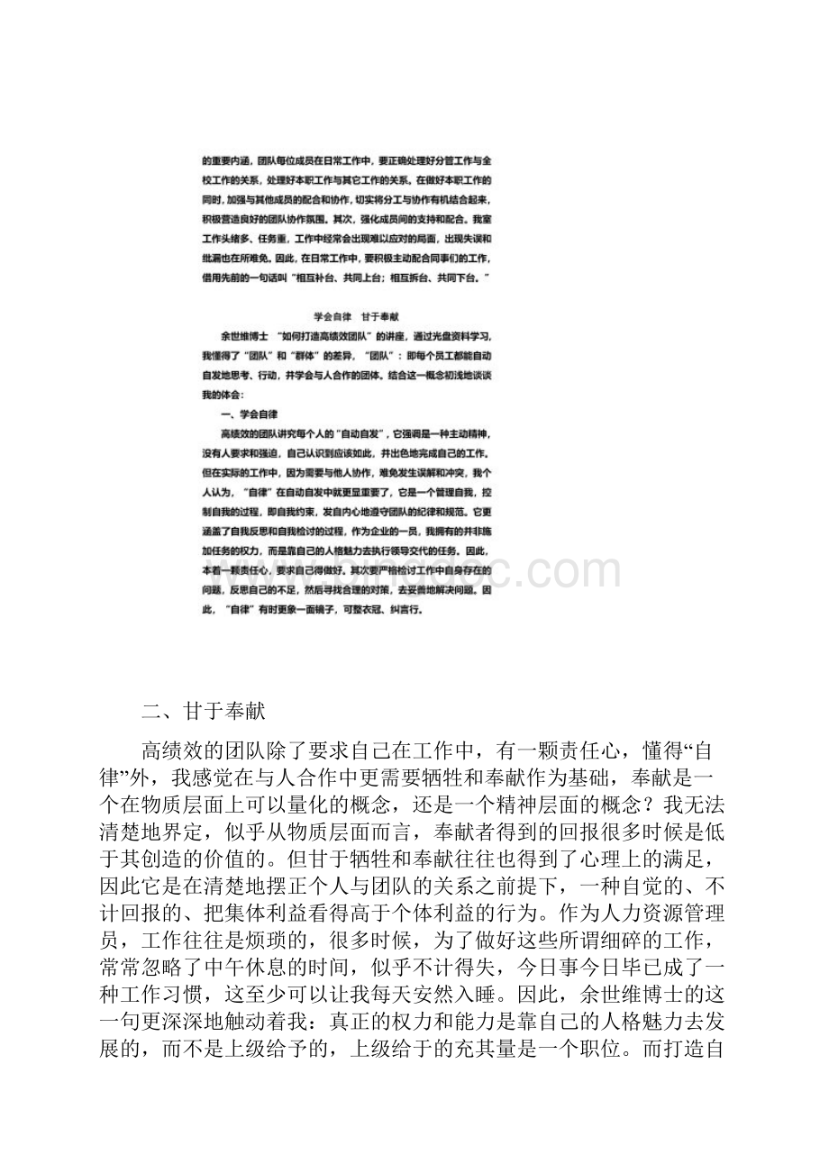 如何打造高效团队心得.docx_第2页