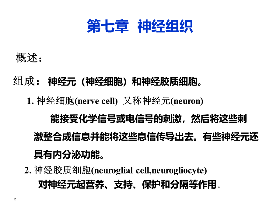 神经组织课件.ppt_第1页