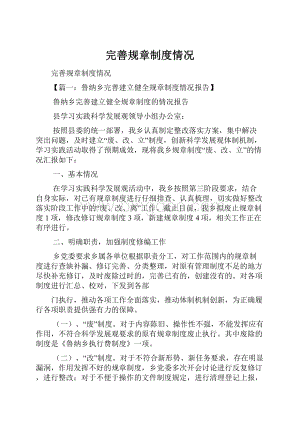 完善规章制度情况Word格式文档下载.docx