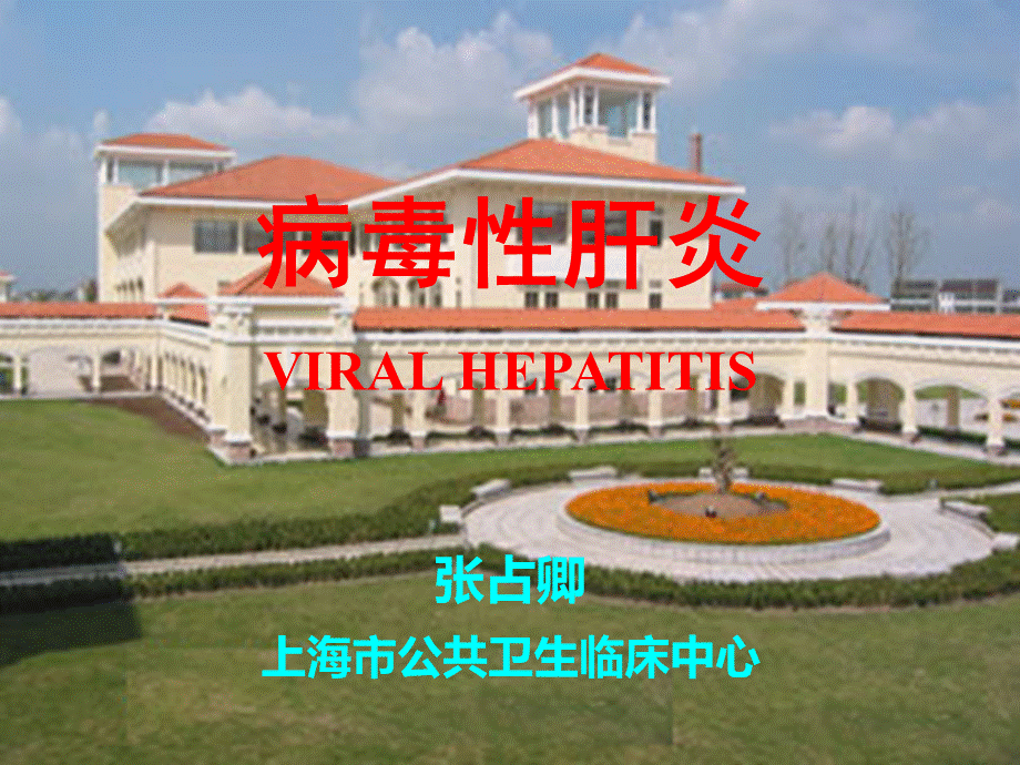 病毒性肝炎2009.ppt_第1页