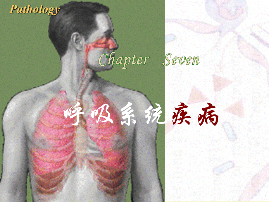 病理学(第八版)最新课件呼吸系统.ppt
