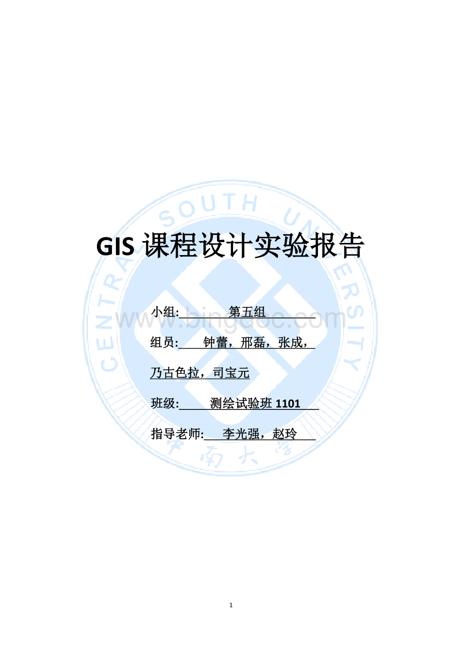 中南大学GIS课程设计实验报告.docx_第1页