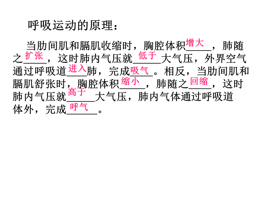 肺泡内的气体交换.ppt_第1页