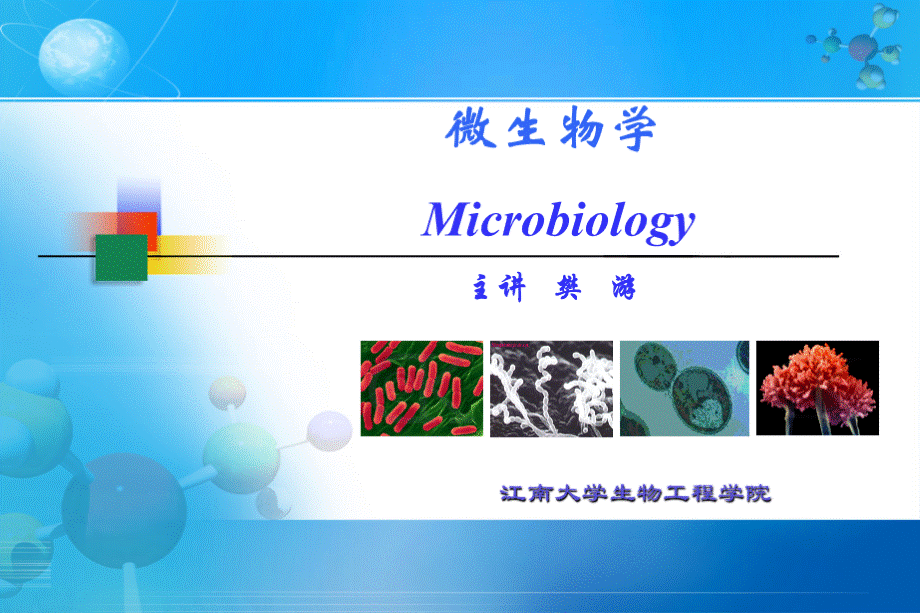 江南大学微生物课件1.ppt