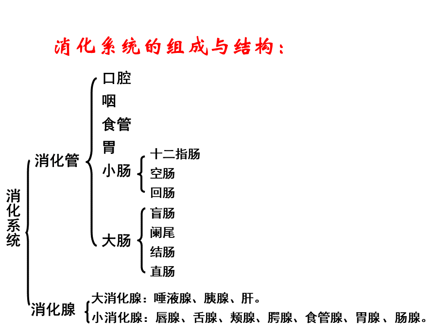 第十讲--1如何保养你的肠胃.ppt_第3页