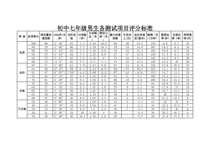 初中体育各项测试项目评分标准表格文件下载.xls