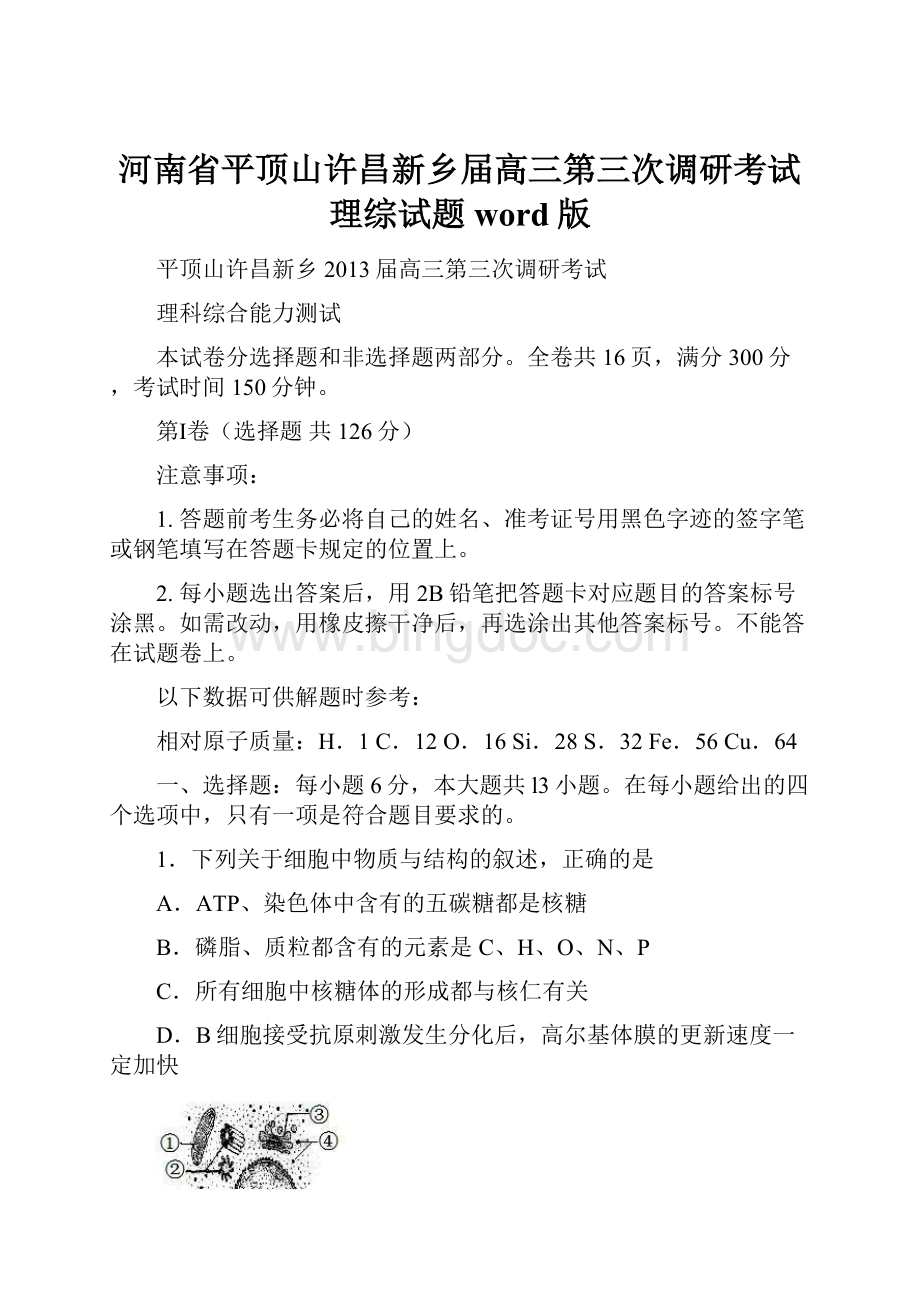 河南省平顶山许昌新乡届高三第三次调研考试理综试题word版Word格式文档下载.docx