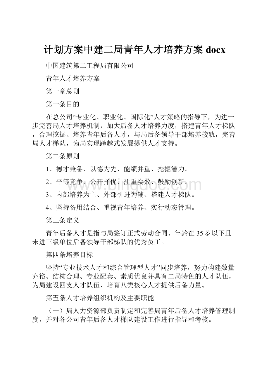 计划方案中建二局青年人才培养方案docxWord文档格式.docx