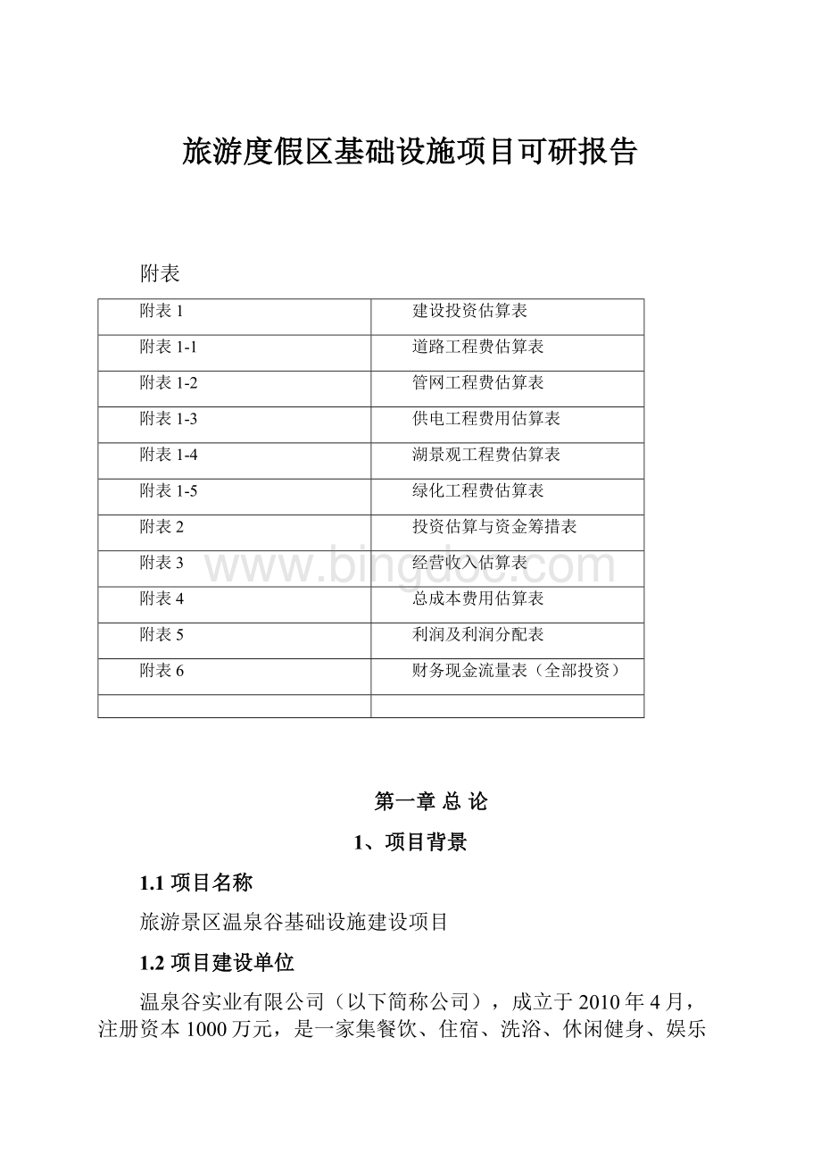 旅游度假区基础设施项目可研报告.docx