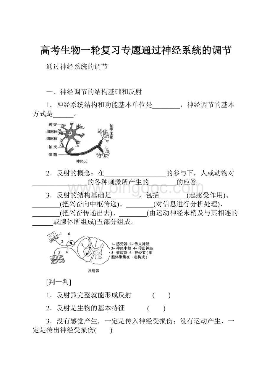 高考生物一轮复习专题通过神经系统的调节Word格式文档下载.docx