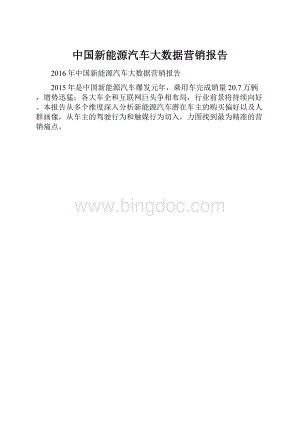 中国新能源汽车大数据营销报告.docx
