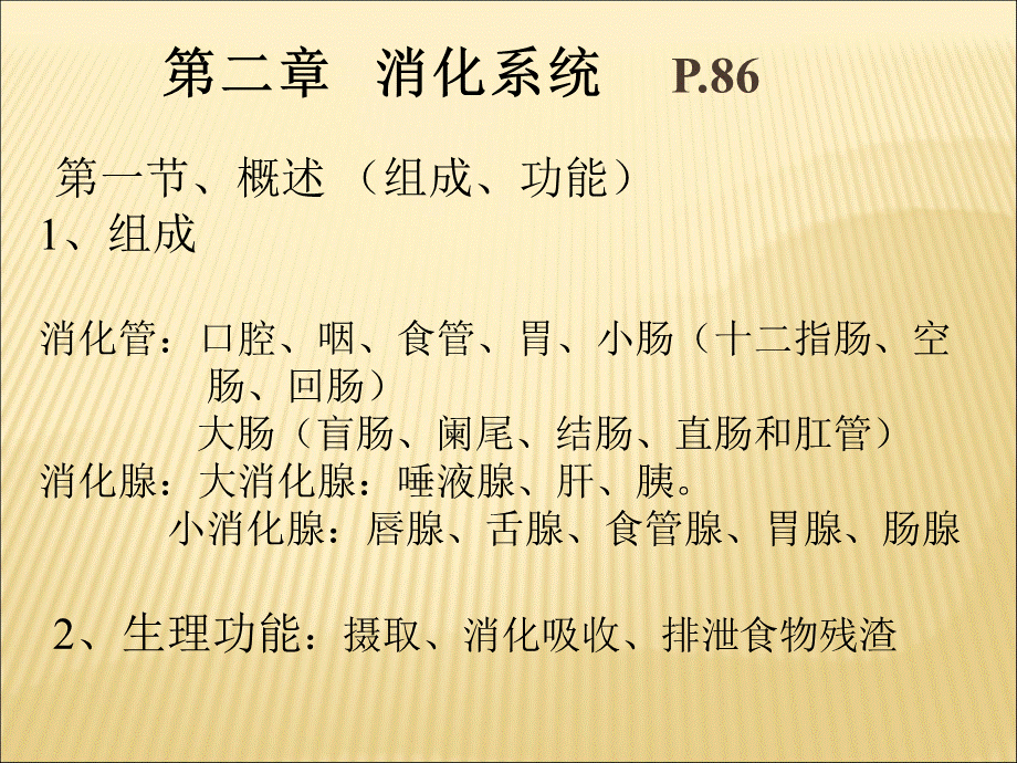 内脏学总论第二章消化系统.ppt