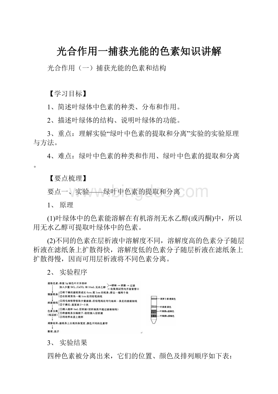 光合作用一捕获光能的色素知识讲解Word下载.docx