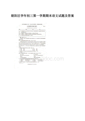 朝阳区学年初三第一学期期末语文试题及答案.docx