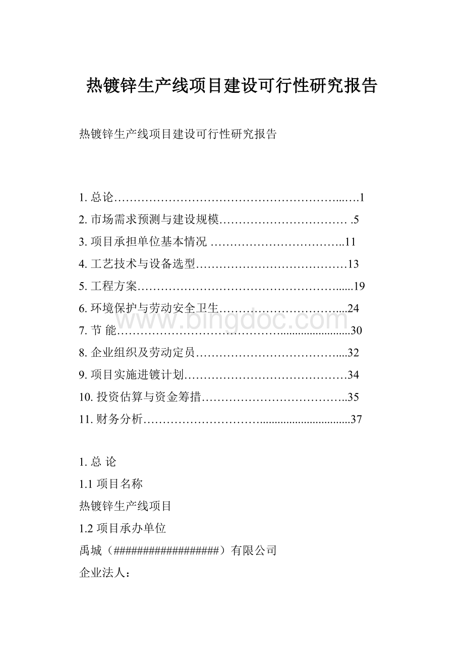 热镀锌生产线项目建设可行性研究报告Word格式文档下载.docx_第1页