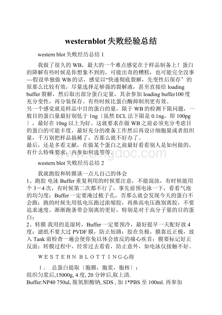 westernblot失败经验总结.docx