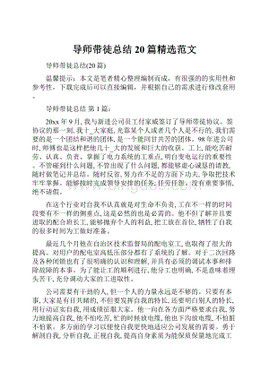 导师带徒总结20篇精选范文.docx