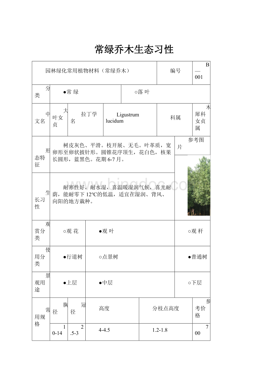 常绿乔木生态习性Word格式文档下载.docx