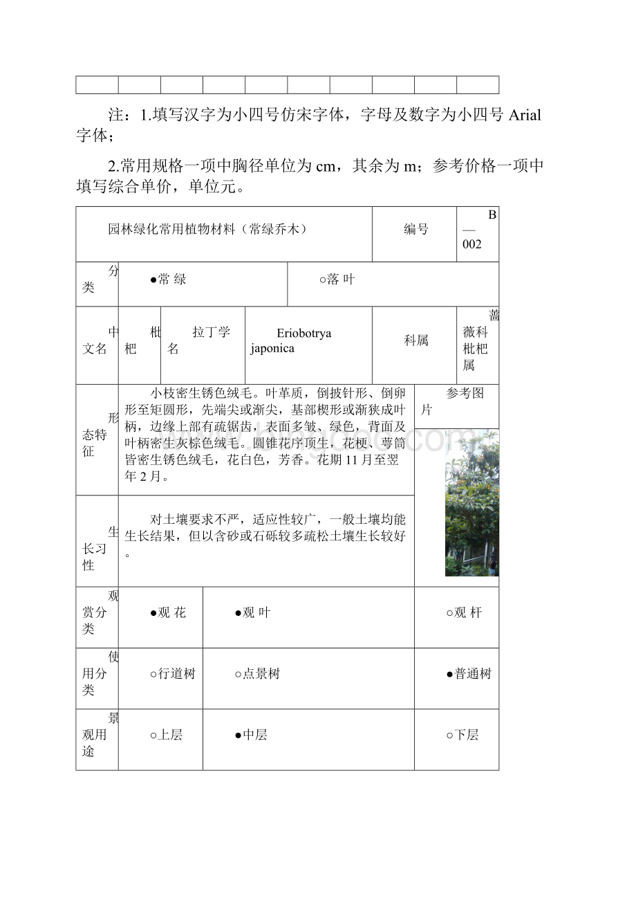 常绿乔木生态习性.docx_第2页