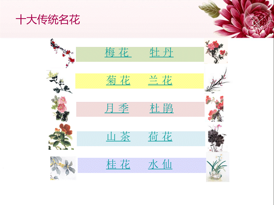 中国传统名花欣赏山茶.ppt_第2页