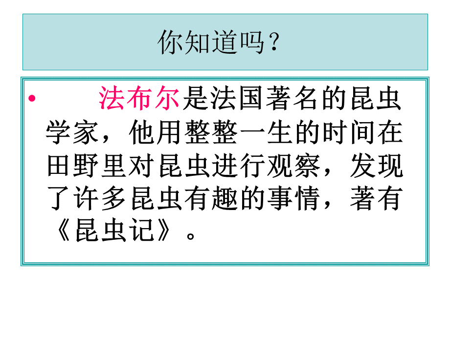 教科版科学《放大镜下的昆虫世界》pptPPT课件下载推荐.ppt_第2页