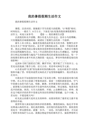 我的暑假假期生活作文Word下载.docx