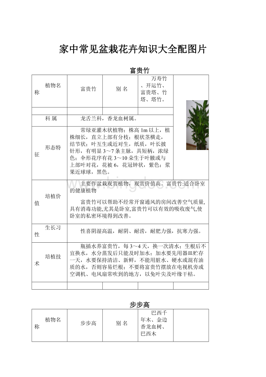 家中常见盆栽花卉知识大全配图片文档格式.docx