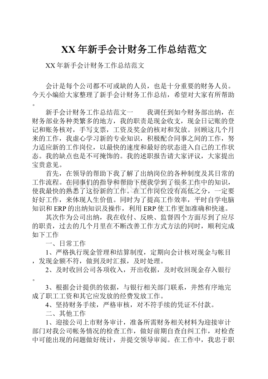 XX年新手会计财务工作总结范文.docx