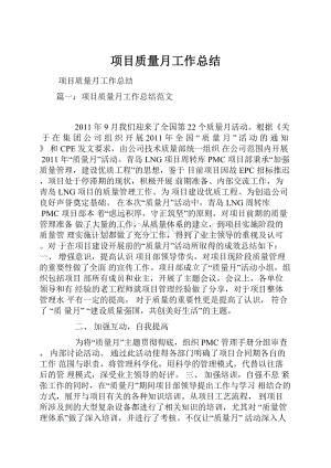 项目质量月工作总结.docx