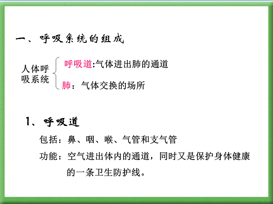 人体的呼吸PPT.ppt_第3页