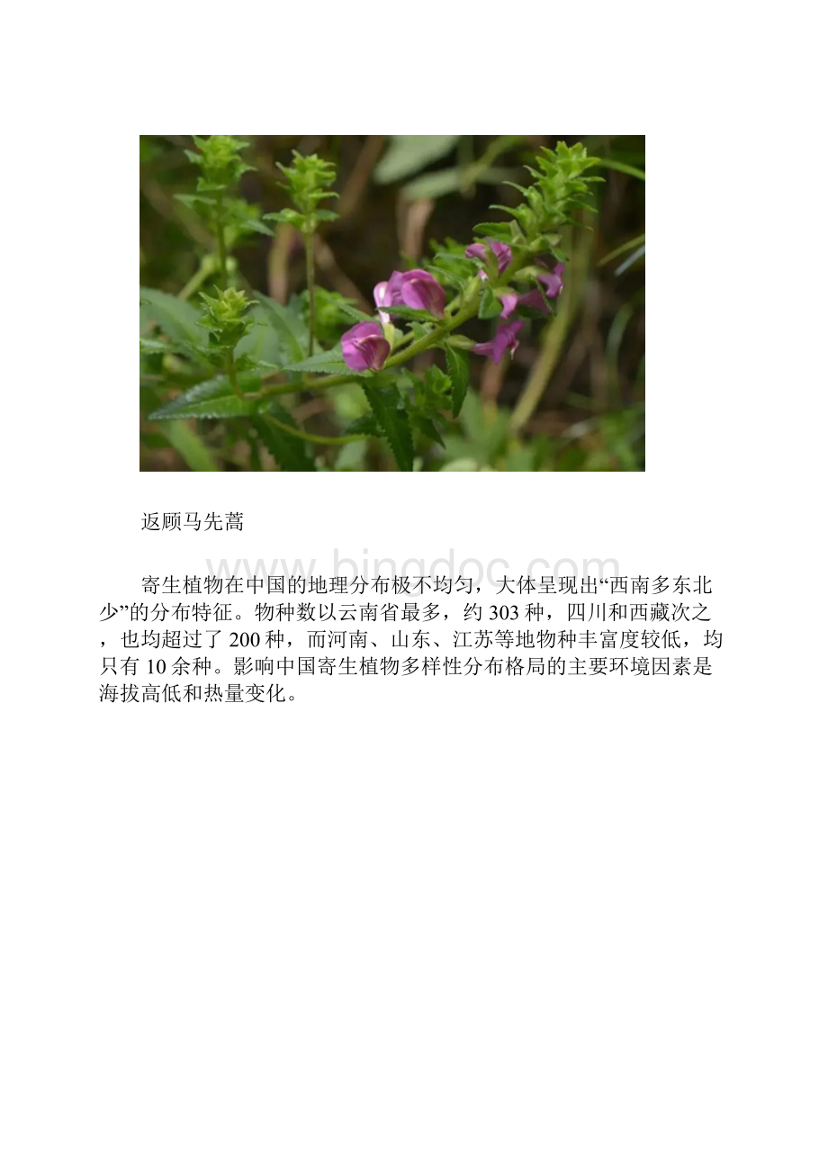 公务员联考常识积累中国寄生植物.docx_第3页