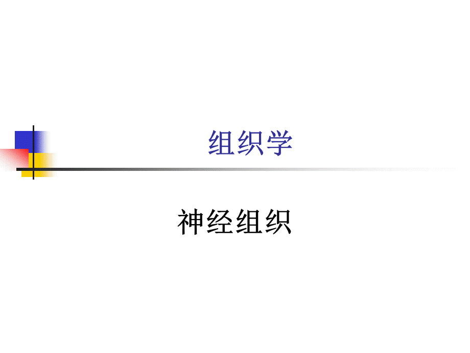 组织胚胎学第8章神经组织.ppt