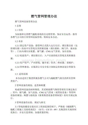 燃气管网管理办法文档格式.docx