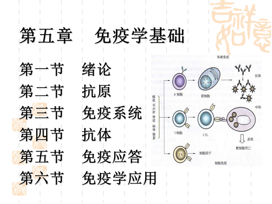 水产微生物学与免疫学免疫学基础.ppt_第3页