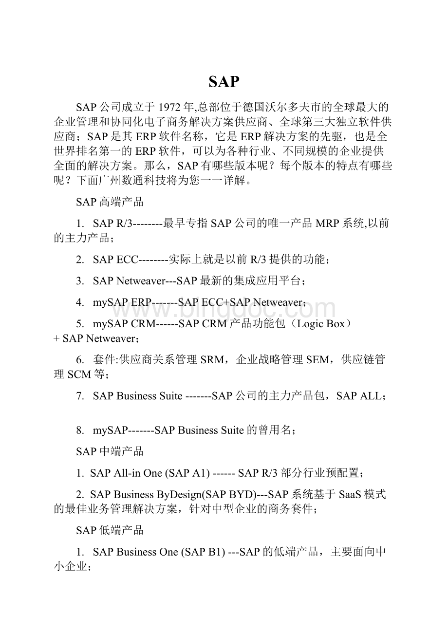 SAPWord格式文档下载.docx