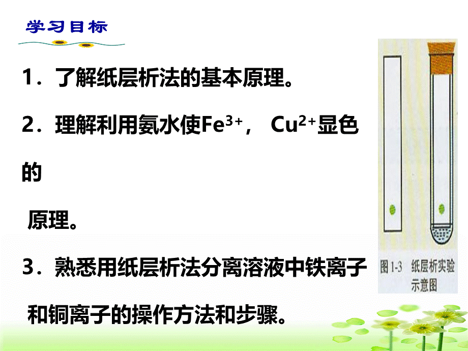 用纸层析法分离铁离子和铜离子.ppt_第2页