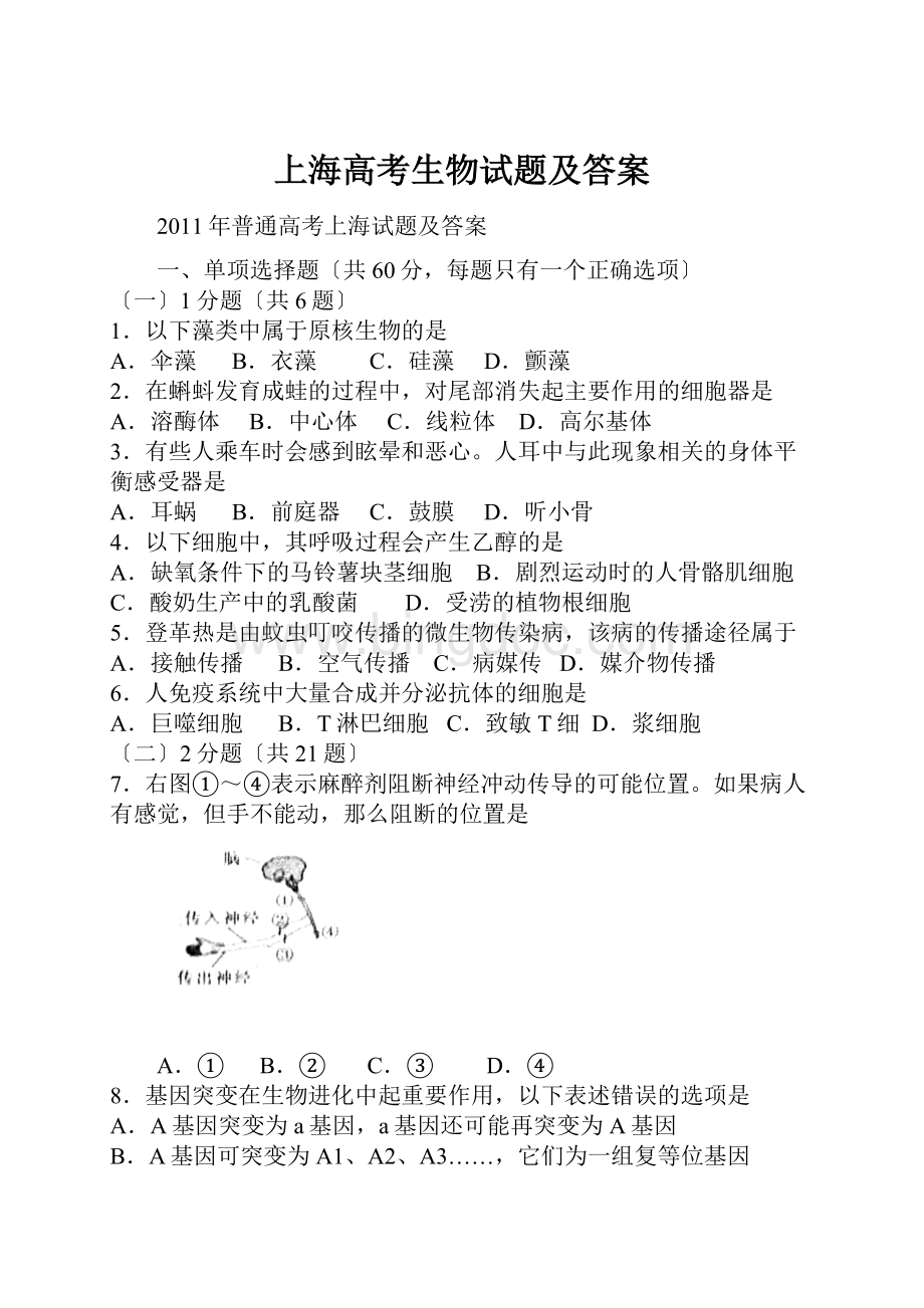 上海高考生物试题及答案Word文档下载推荐.docx_第1页