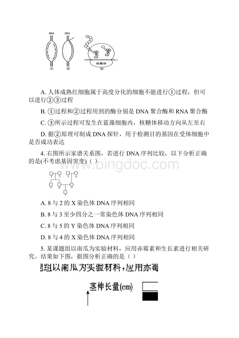 安庆市新安中学届高考理综送考卷文档格式.docx_第2页
