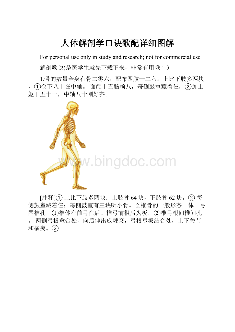 人体解剖学口诀歌配详细图解.docx_第1页