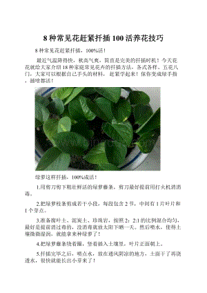 8种常见花赶紧扦插100活养花技巧.docx