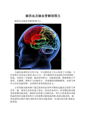 脑供血及脑血管解剖图文文档格式.docx