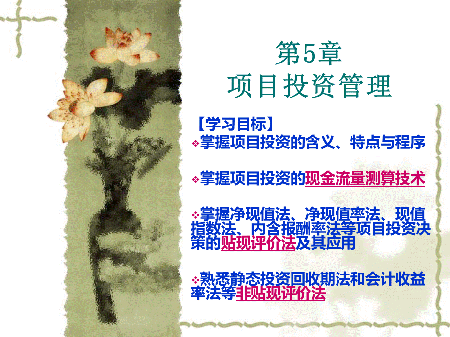 项目投资管理.ppt