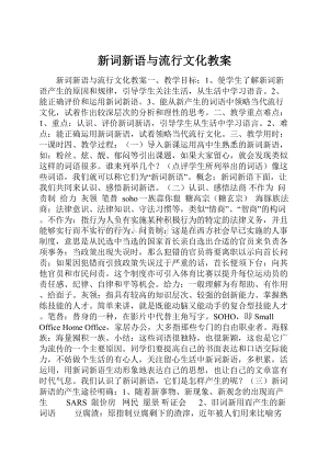 新词新语与流行文化教案Word文档格式.docx